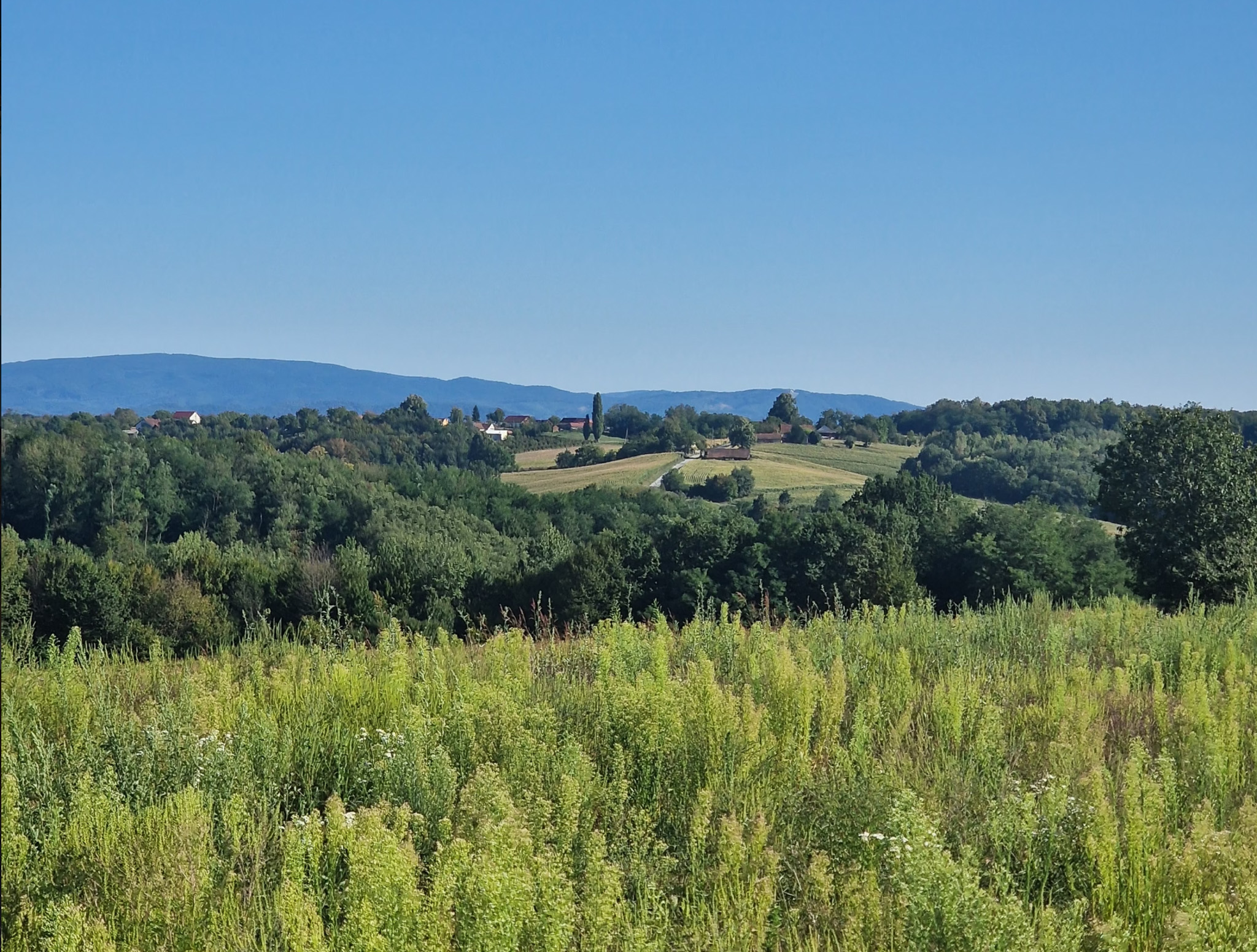 Huis te koop in Sibovac. Uniek landgoed met 10,25 hectare en eindeloze mogelijkheden!